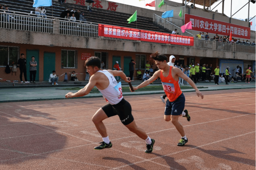 zoty中欧体育直播