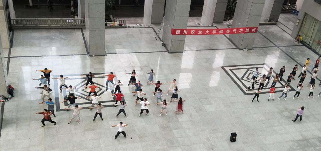 zoty中欧体育直播