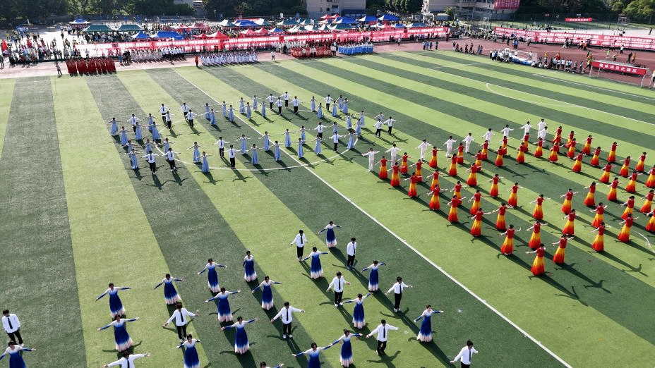 zoty中欧体育直播