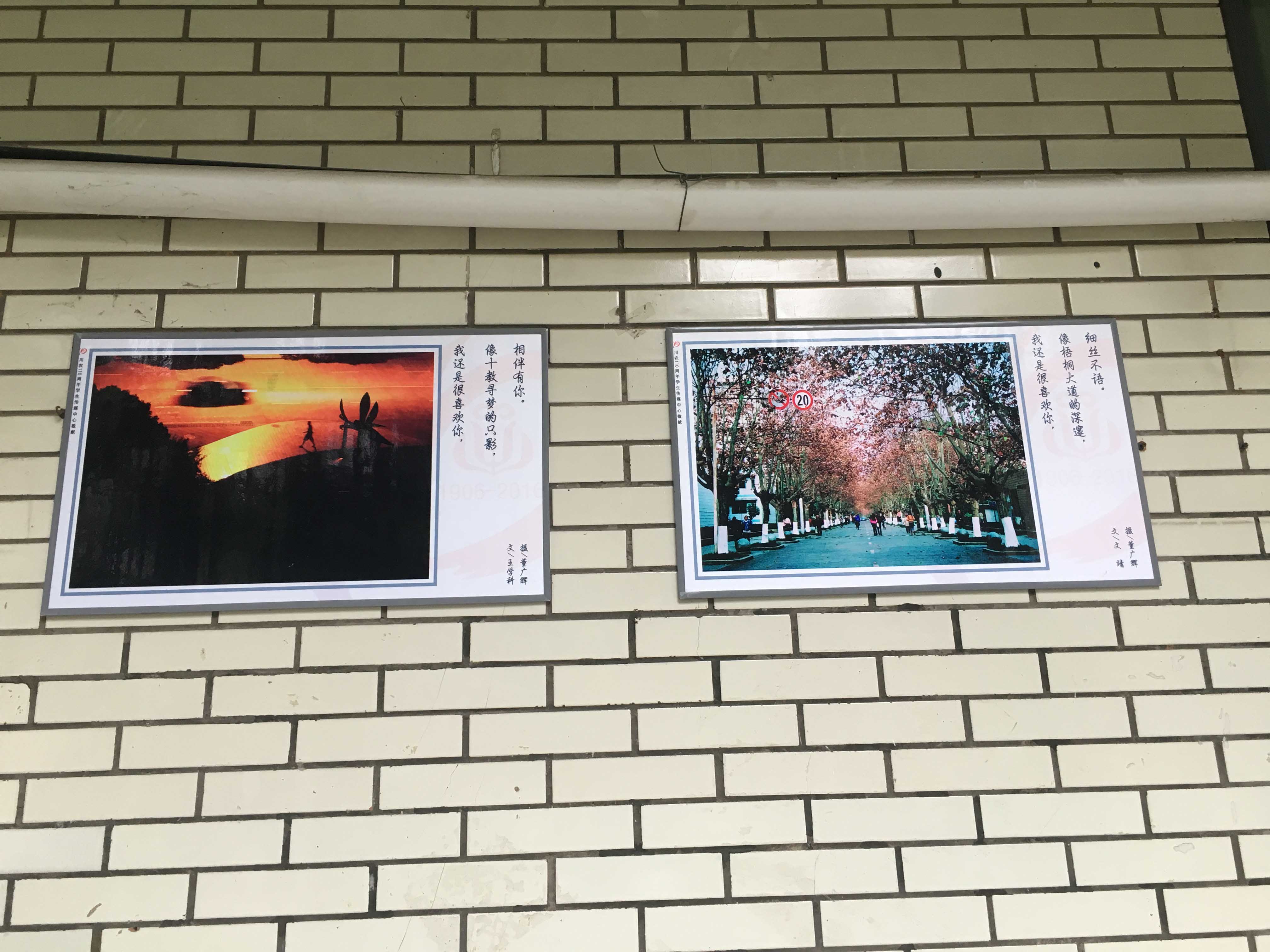 zoty中欧体育加速节点图片