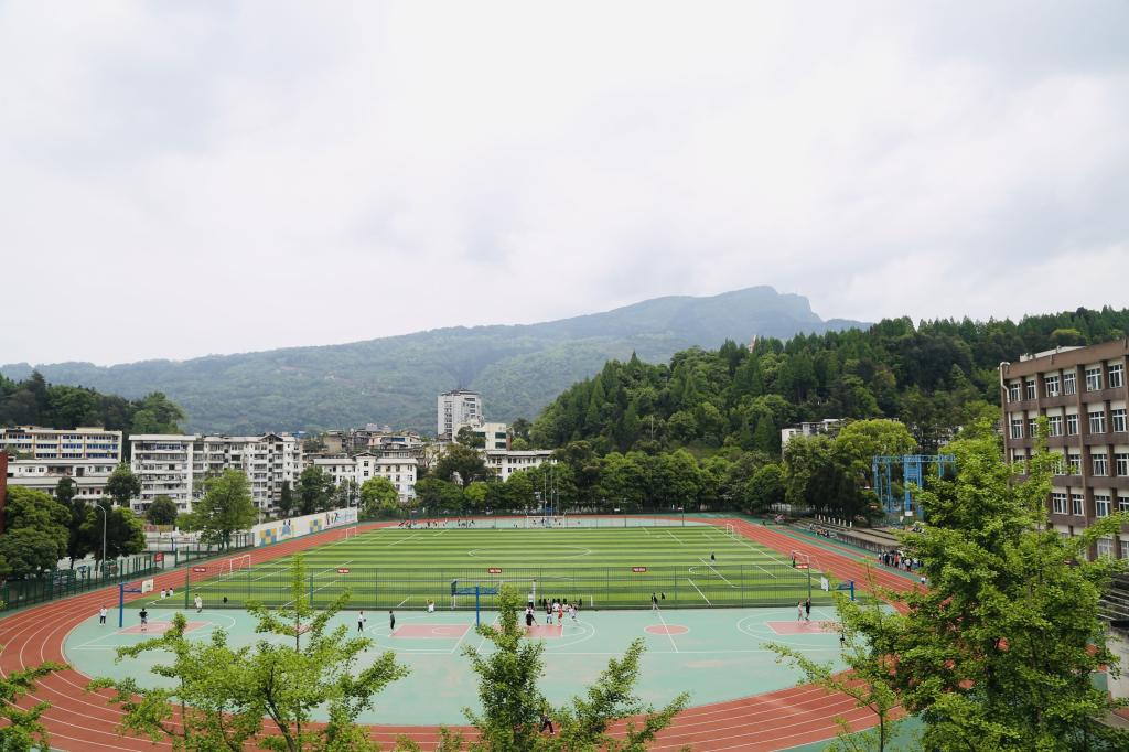 zoty中欧体育指定通道图片