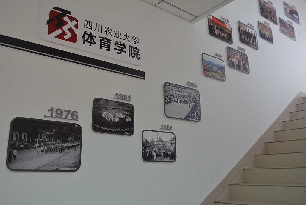 zoty中欧体育核心通道图片