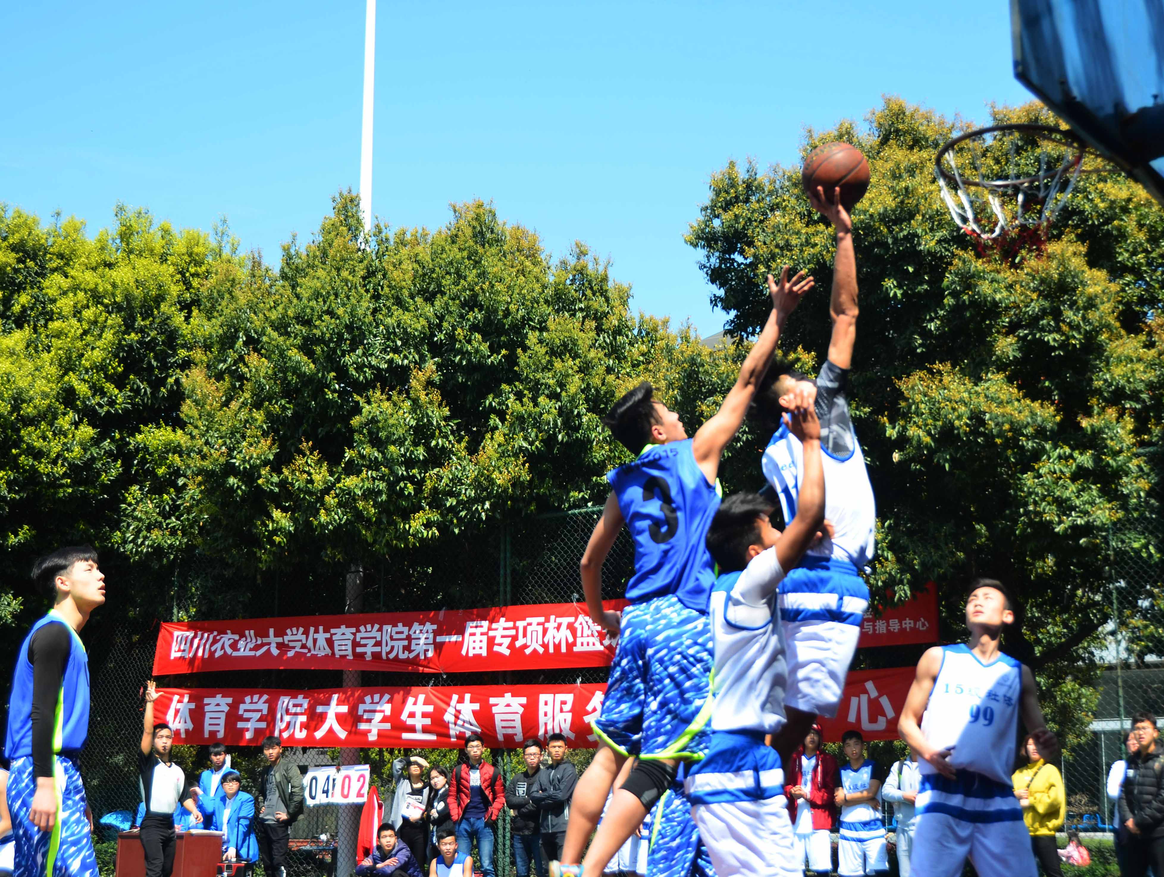 zoty中欧体育赛事快讯图片