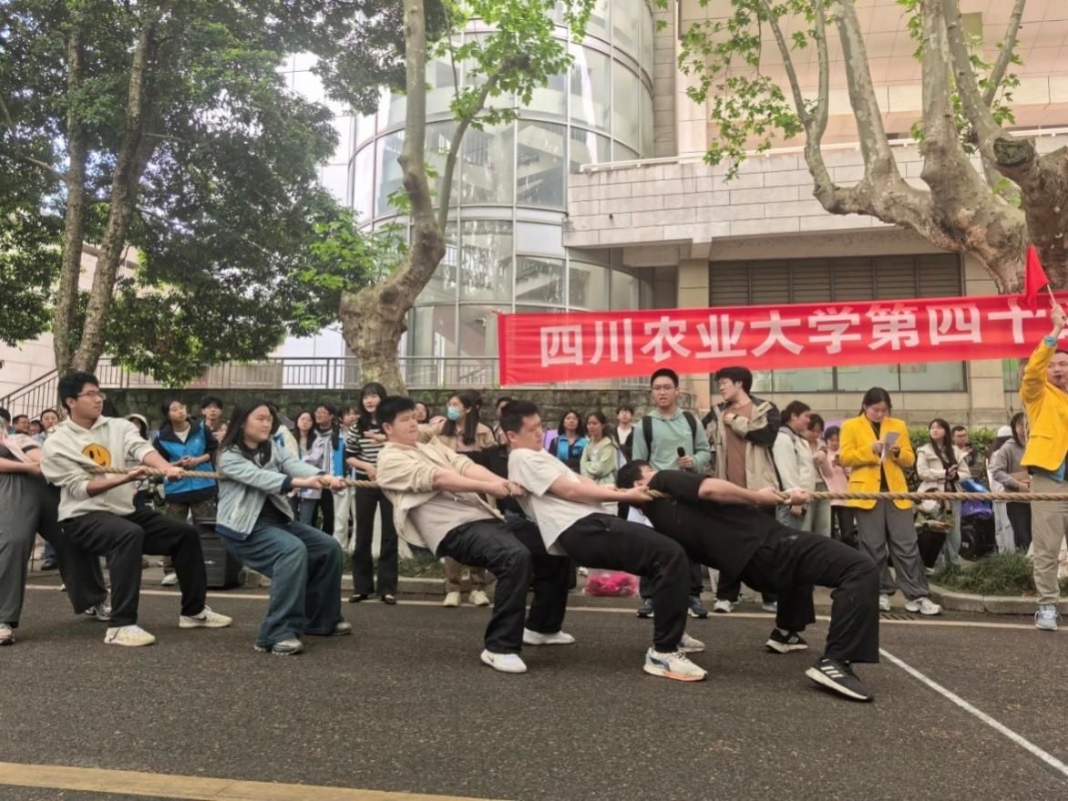 zoty中欧体育直播