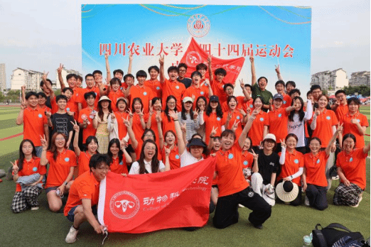 zoty中欧体育欧冠直播
