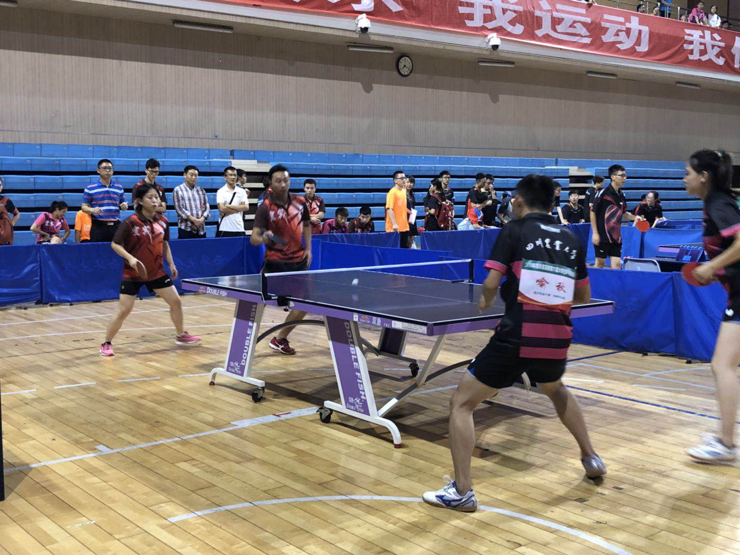 zoty中欧体育官方线路图片
