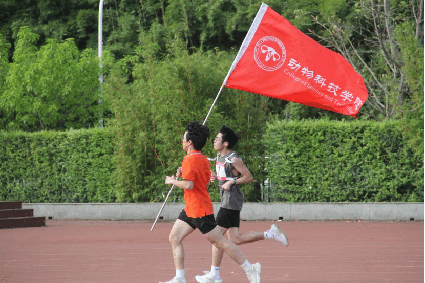zoty中欧体育官方指定端