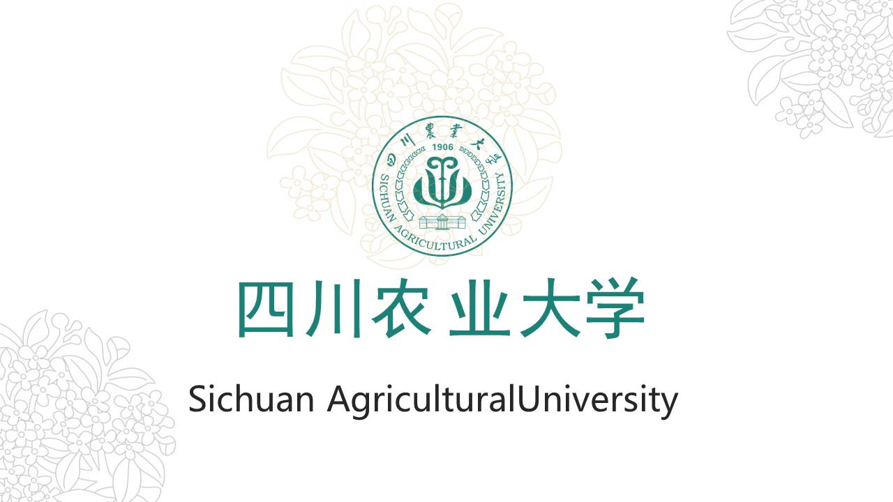 zoty中欧体育超级联赛