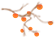 zoty中欧体育直播