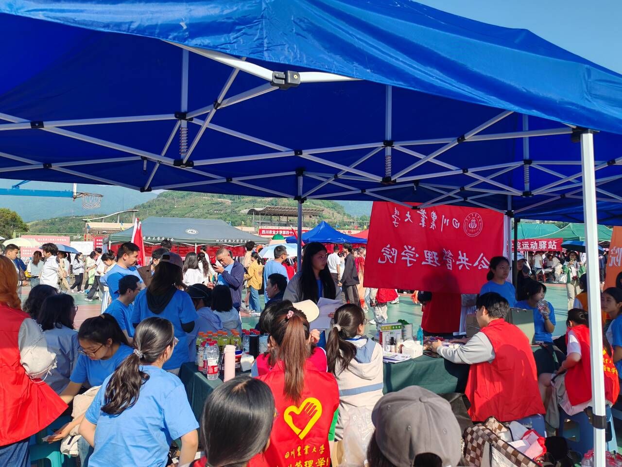 zoty中欧体育APP下载