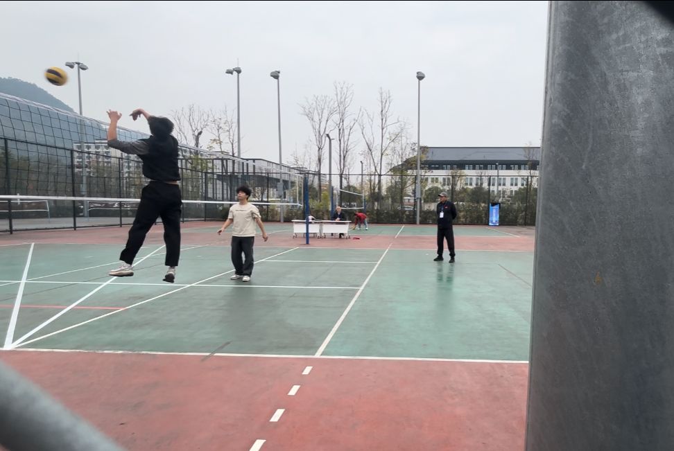 zoty中欧体育备用网址