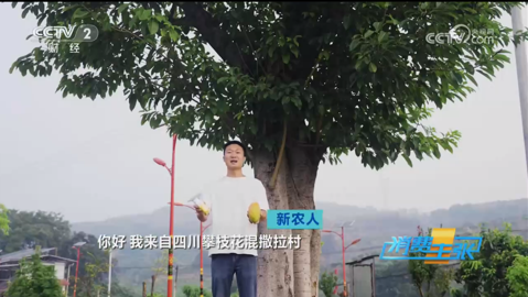 zoty中欧体育安全通道