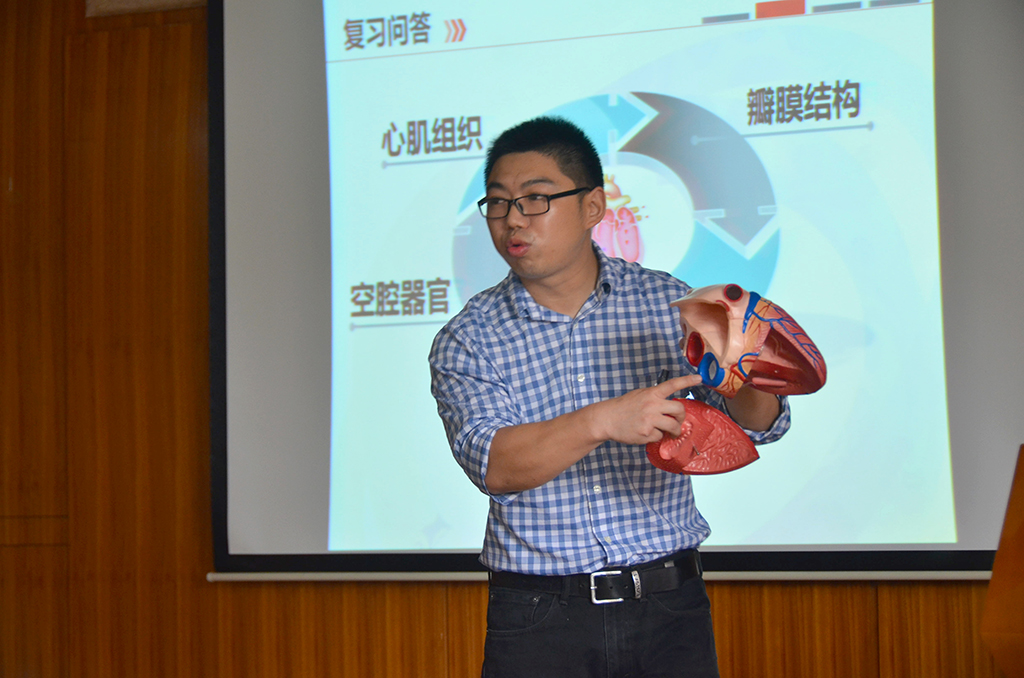 zoty中欧体育官方指定端图片