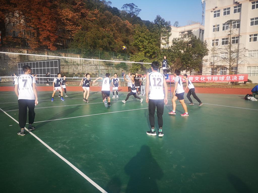 zoty中欧体育欧洲杯