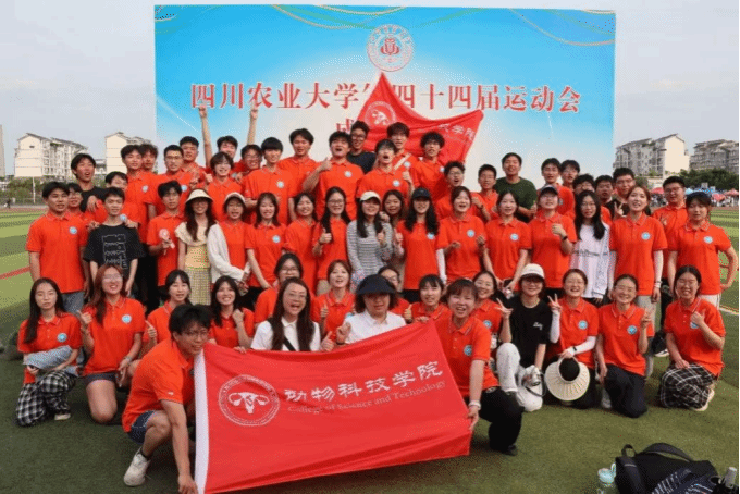 zoty中欧体育稳定线路