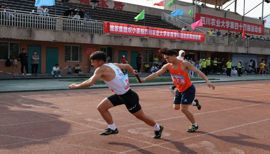zoty中欧体育客户端