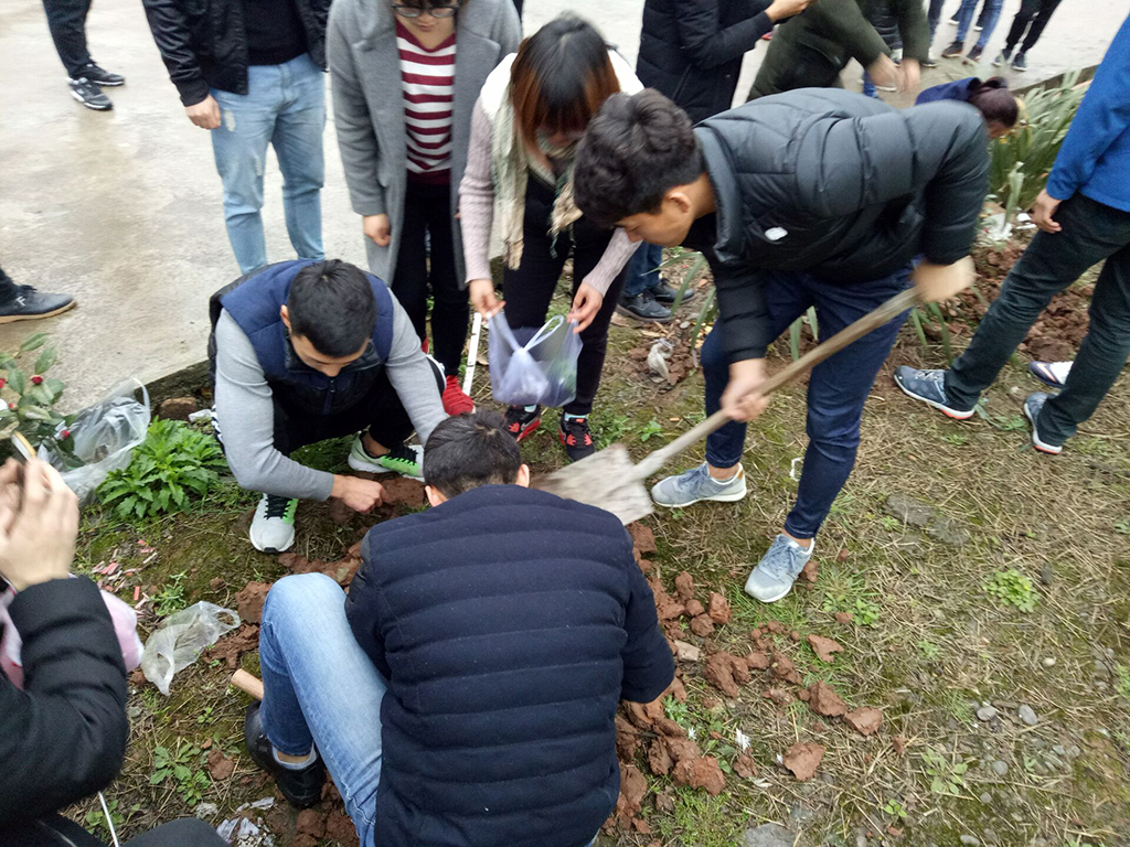 zoty中欧体育加速节点图片