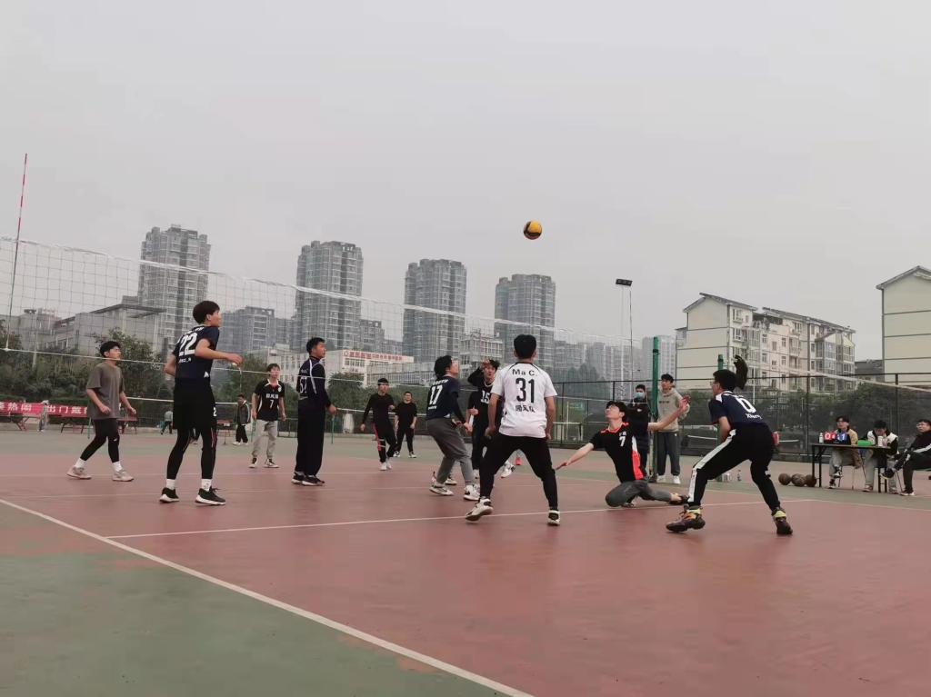 zoty中欧体育欧冠直播