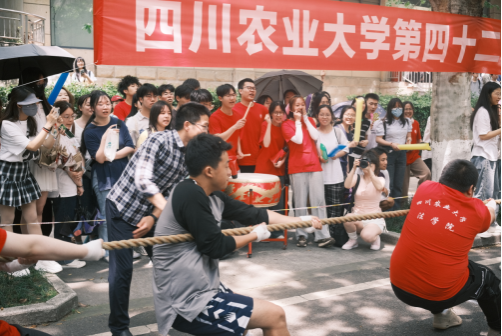 zoty中欧体育安全通道