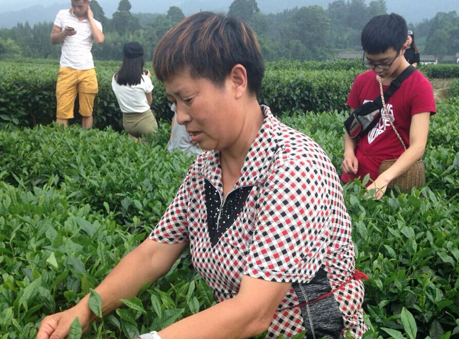 zoty中欧体育手机版图片