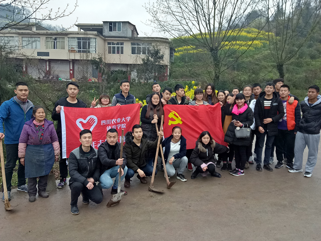 zoty中欧体育欧冠直播图片