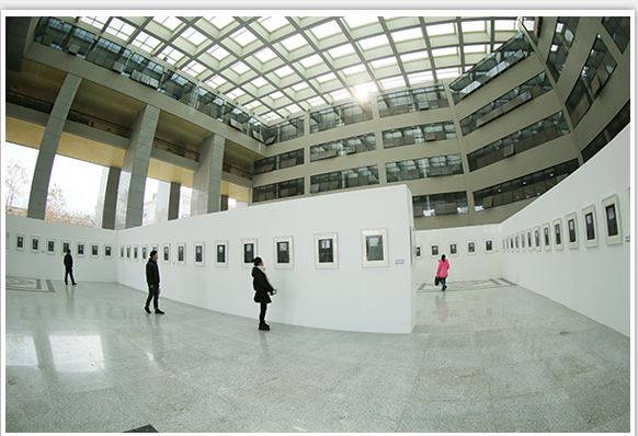zoty中欧体育指定入口图片