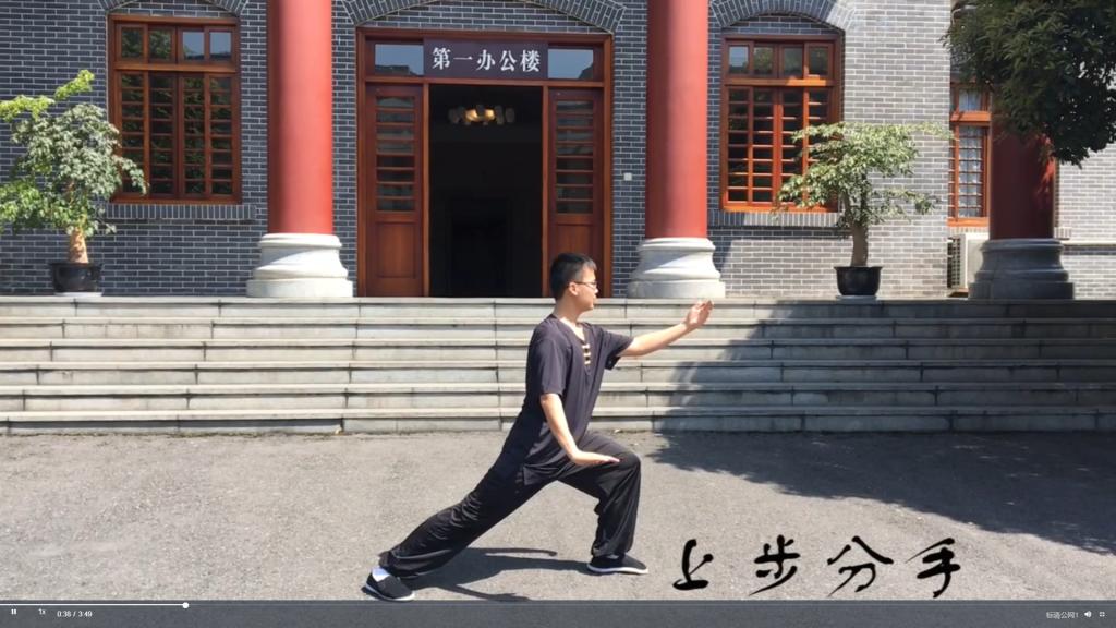 zoty中欧体育欧洲杯图片