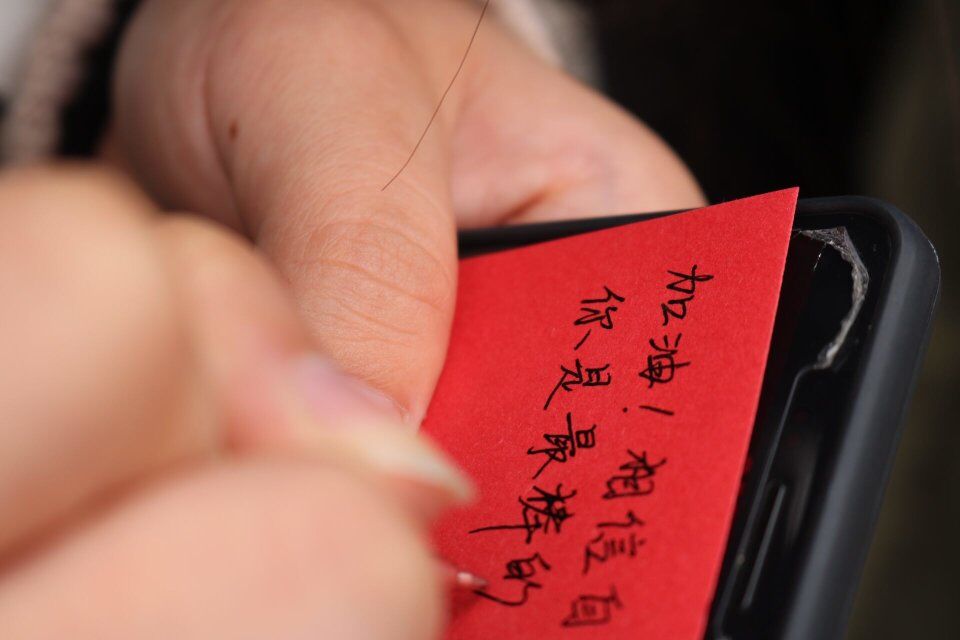 zoty中欧体育直播图片