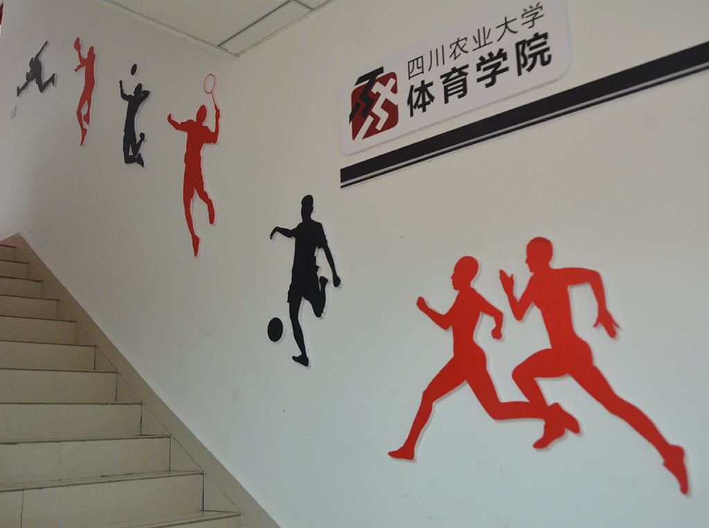 zoty中欧体育官方线路图片