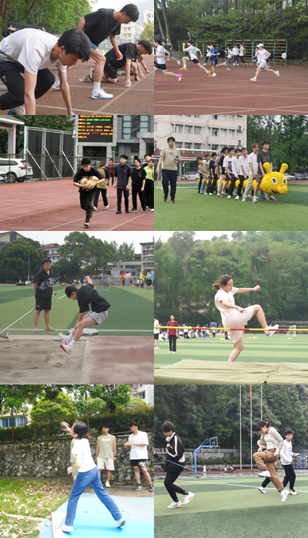 zoty中欧体育平台