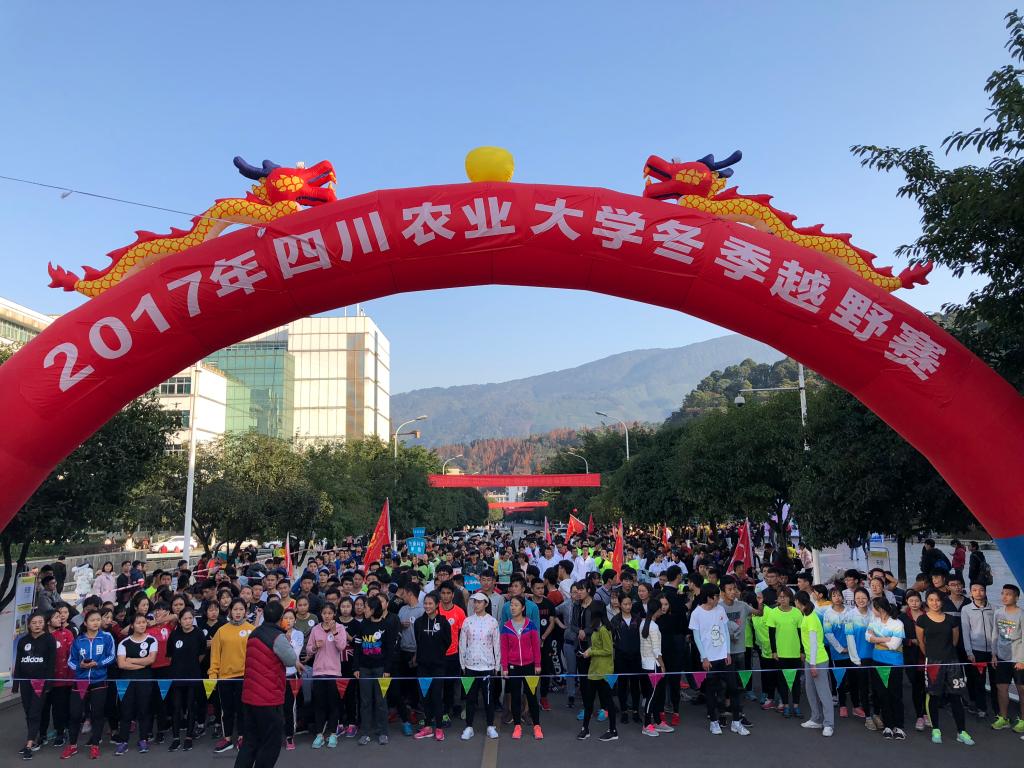 zoty中欧体育安全通道图片