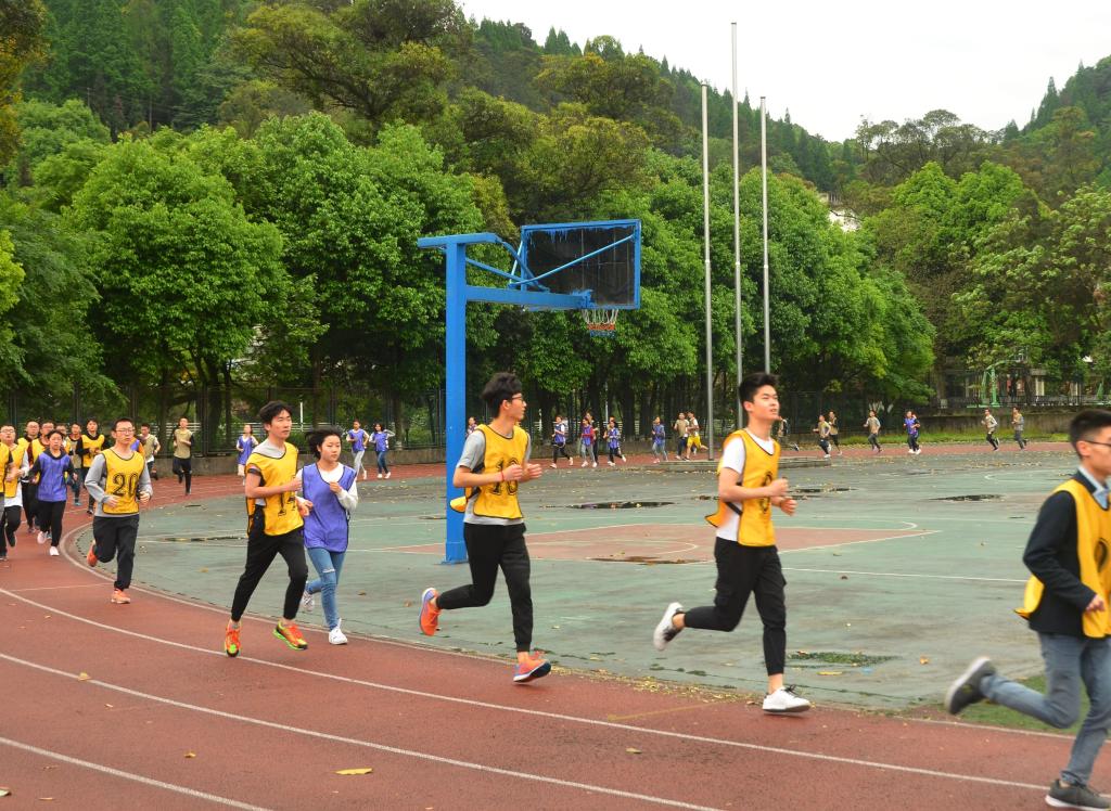 zoty中欧体育平台
