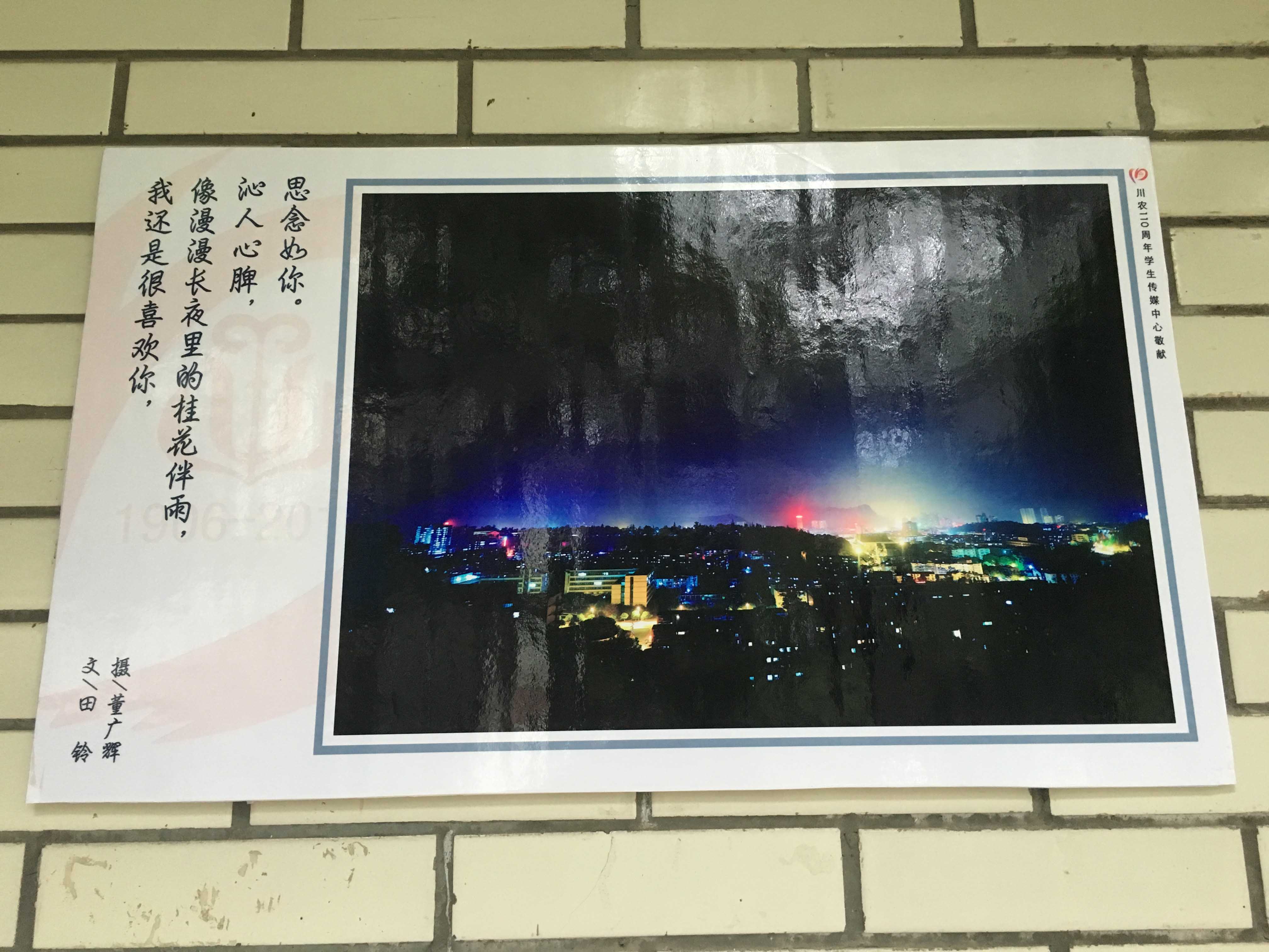zoty中欧体育核心通道图片