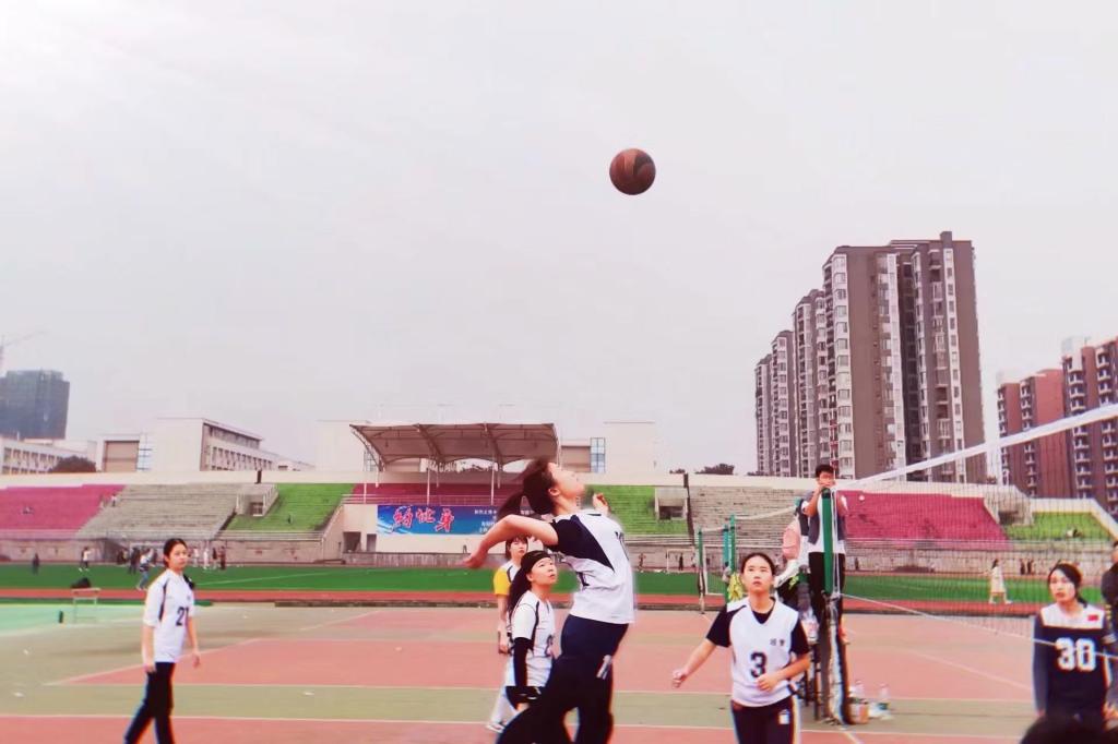 zoty中欧体育赛事资讯平台