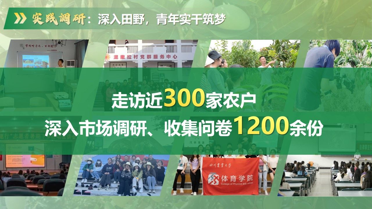 zoty中欧体育赛事快讯