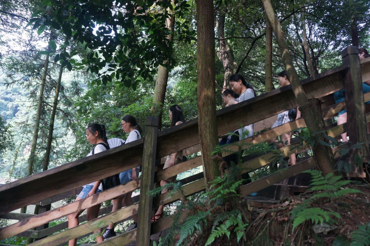 zoty中欧体育欧洲杯图片