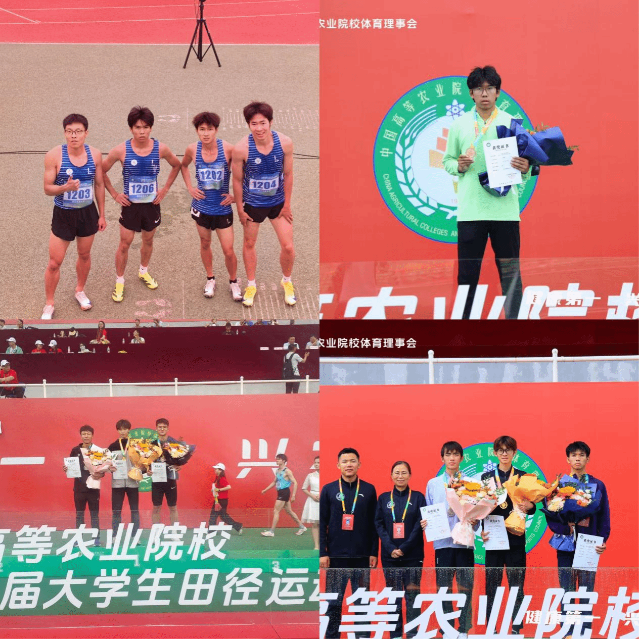 zoty中欧体育赛事快讯图片
