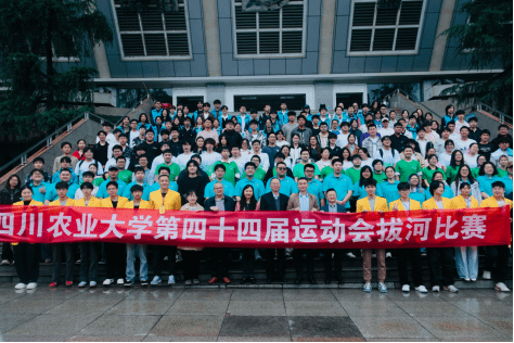 zoty中欧体育稳定线路
