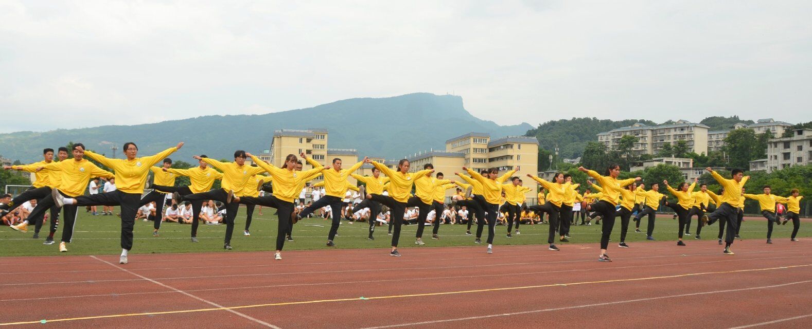 zoty中欧体育体育频道