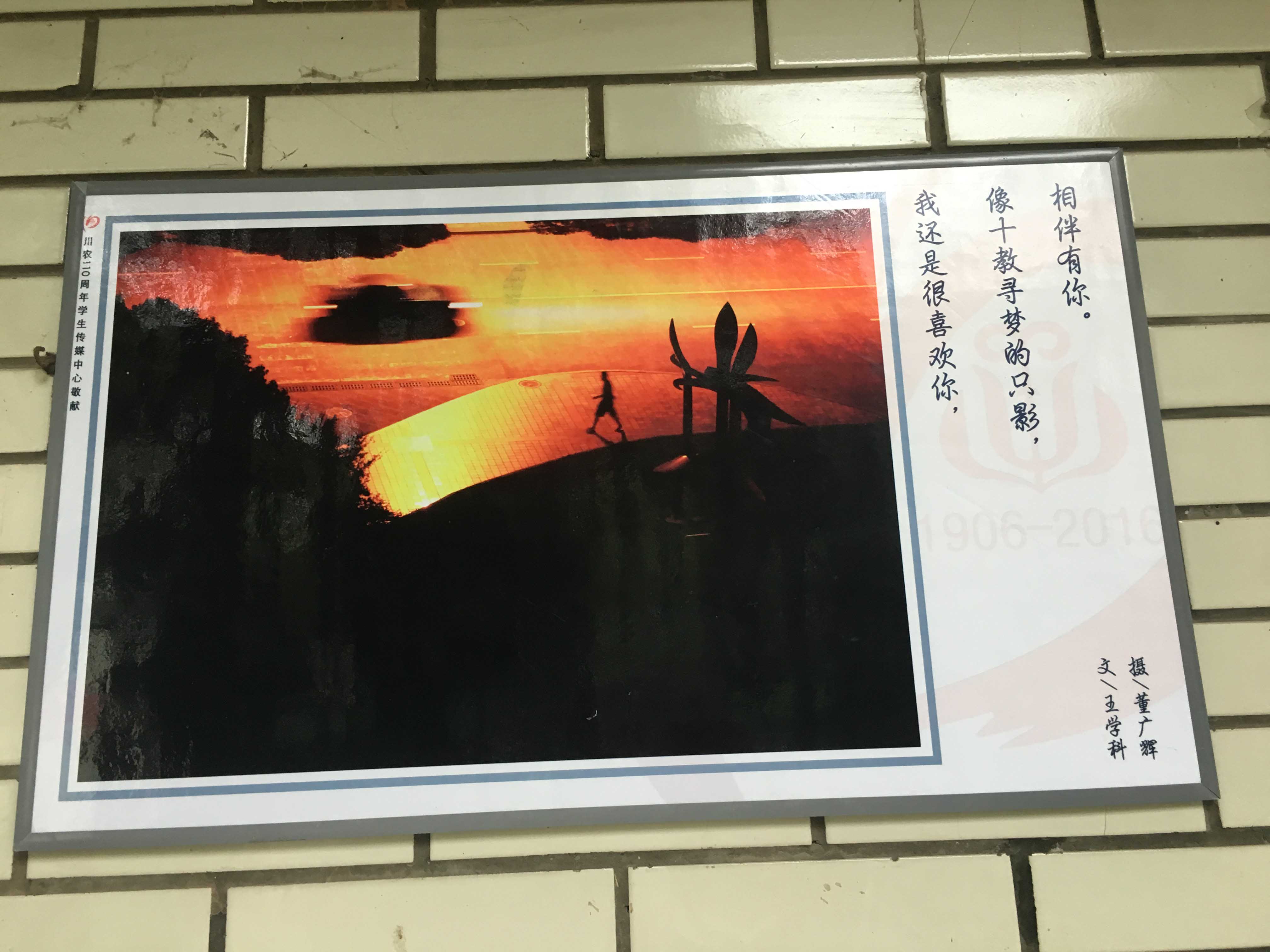 zoty中欧体育核心通道图片