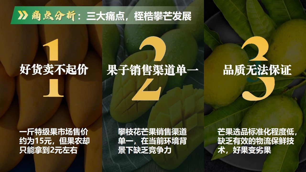 zoty中欧体育备用网址