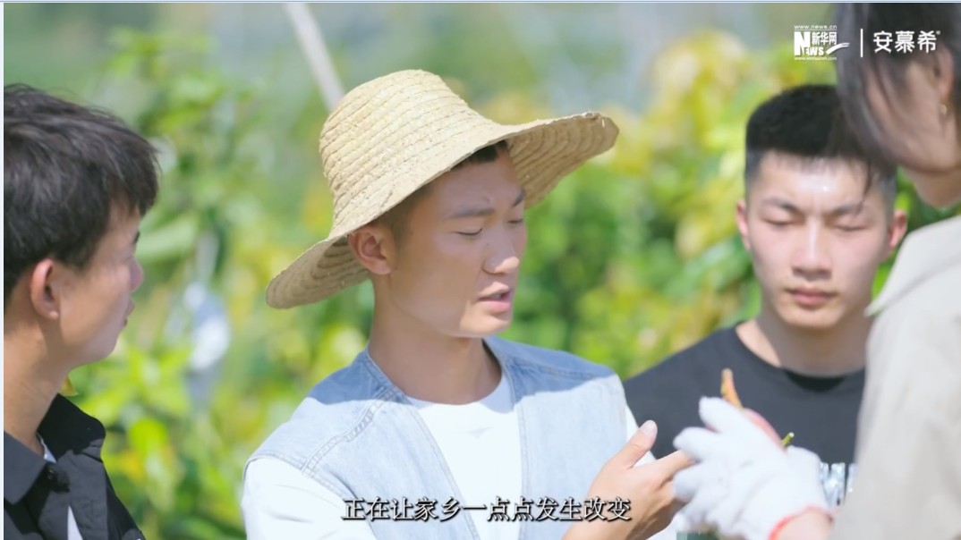zoty中欧体育安全通道