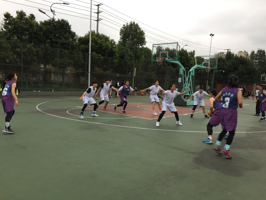 zoty中欧体育APP下载