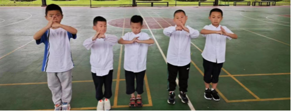zoty中欧体育体育频道