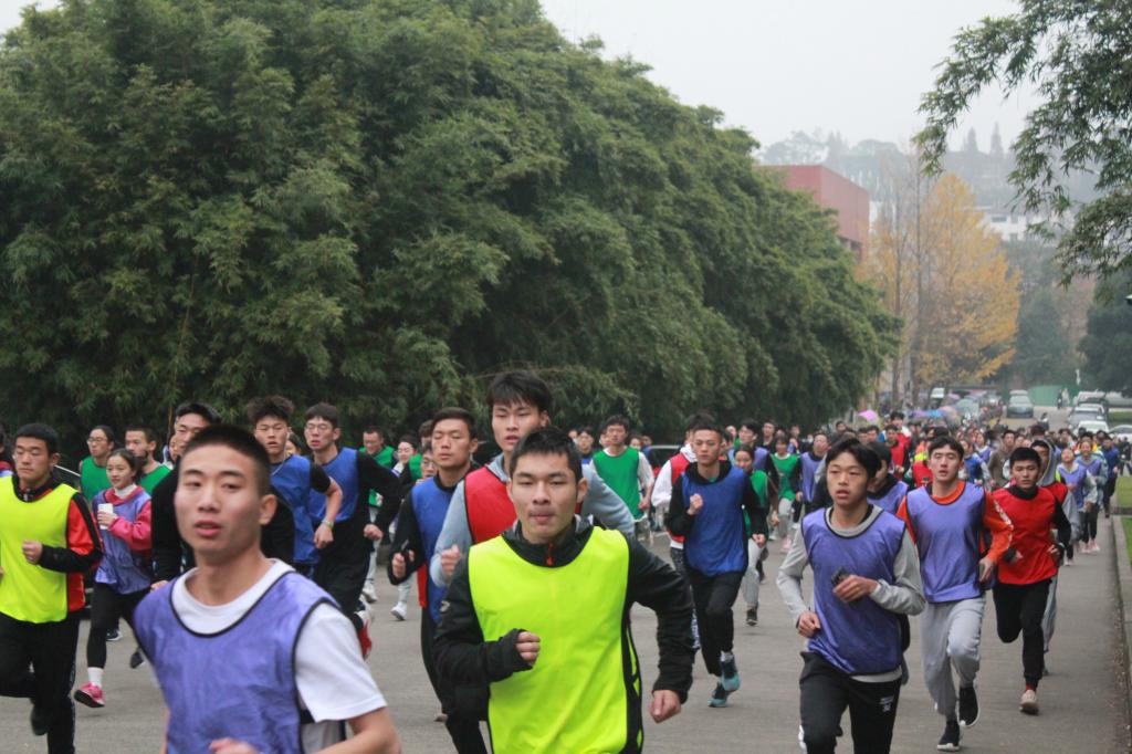zoty中欧体育官方线路