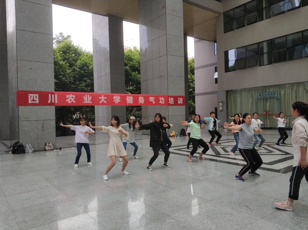 zoty中欧体育加速节点