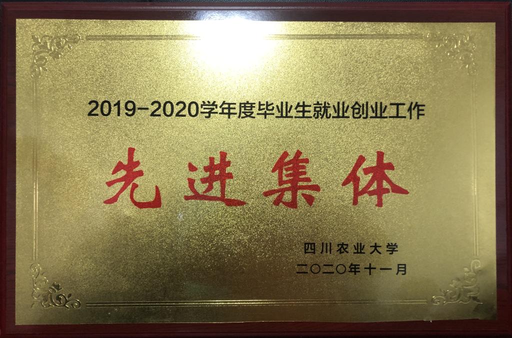 zoty中欧体育官方指定端图片