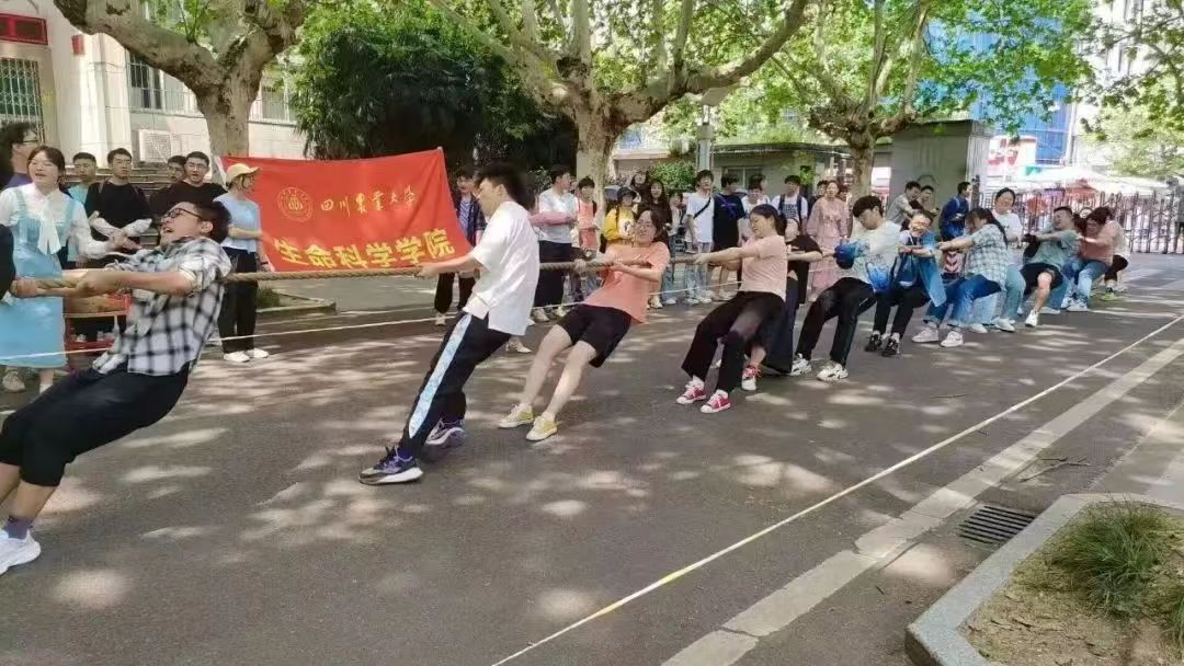 zoty中欧体育安全通道