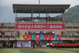 zoty中欧体育APP下载