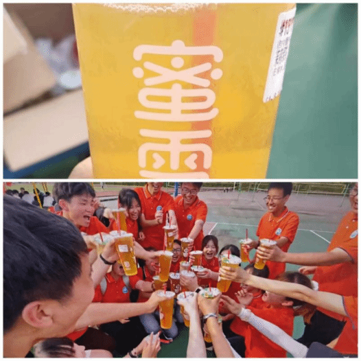 zoty中欧体育欧冠直播
